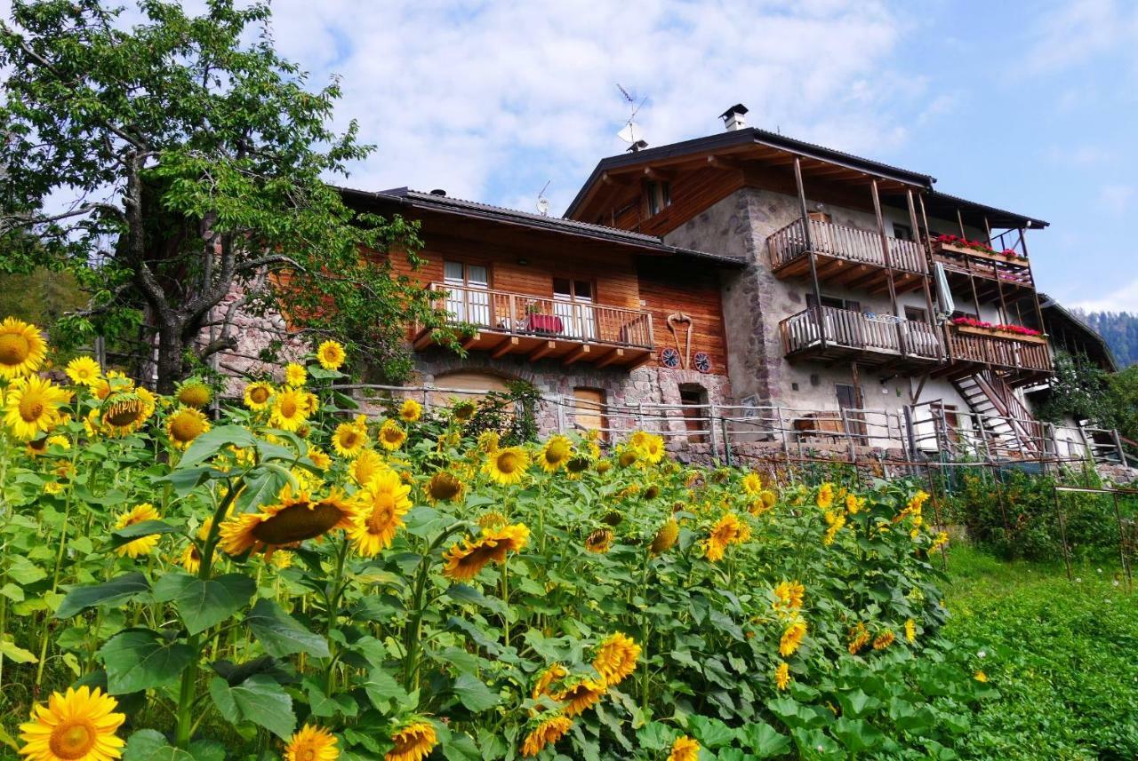 Baita Cavecia Villa Sant'Orsola Dış mekan fotoğraf